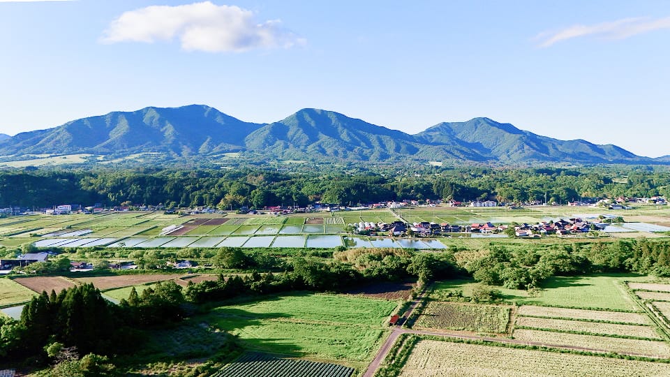 真庭市の農地風景