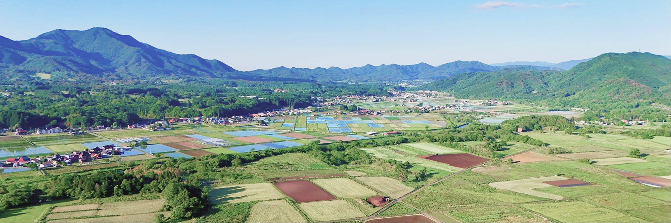 真庭市の農地風景