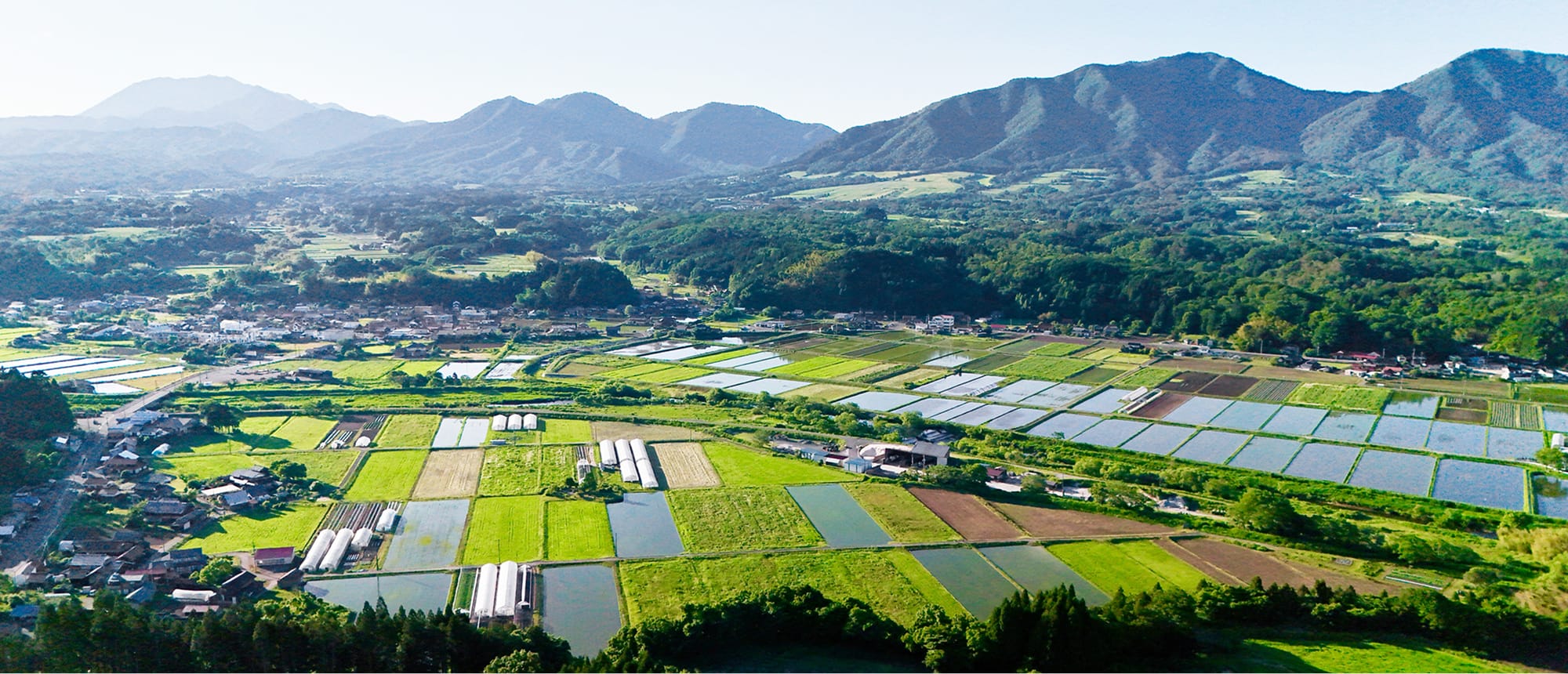 真庭市の農業風景